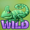 spigo zoo wild symbol