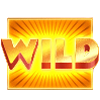 spin em round wild1 symbol