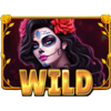 spin of the dead wild symbol