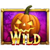 spooky halloween wild symbol
