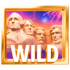 stars and stripes hold and win wild symbol