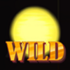 sthlm sunset wild symbol