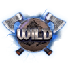 story of vikings 10 lines wild symbol