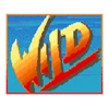 street fighter ii the world warrior wild symbol
