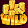 strike it rich wild 1 symbol
