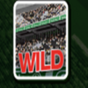 subbuteo wild symbol