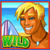 summer bliss wild symbol