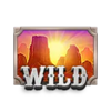 super 3 pot bison wild symbol