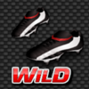 super campeonato brasileiro wild symbol
