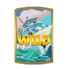 super fishing 2000 wild symbol
