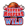 super hoopers xtreme power pots wild 2 symbol