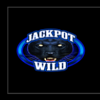 super jackpot double lion wild 1 symbol