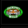 super jackpot double lion wild 2 symbol