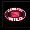 super jackpot wild gems wild 2 symbol
