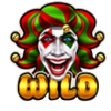 super wild 27 dice wild symbol