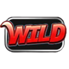 super wild player super wheel wild symbol