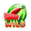 super wild watermelon wild symbol