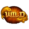 symbols of success wild fish symbol