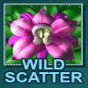 thai paradise wild scatter symbol