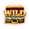 the bonus day wild symbol