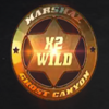 the bounty wild 2 symbol