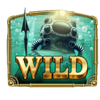 the captains quest symbol wild