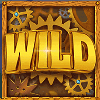 the dream machine wild symbol