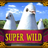 the glass slipper wild super symbol