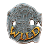 the goonies quest for treasure 3 wild symbol