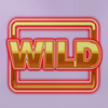 the hot offer wild symbol