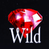 the midnight jackpot wild symbol