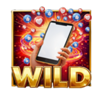 the queen of social media wild symbol