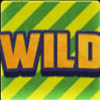 the respinners wild symbol