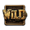 the robbery wild symbol