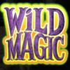 thunderstruck 2 mega moolah wild 2 symbol