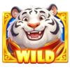 tiger jackpots wild symbol