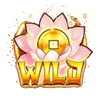tiger temple 88 wild 2 symbol