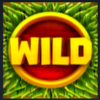 tiki runner clusters wild symbol
