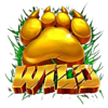 topspins games big cats wild symbol