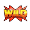 toto wild hot 40 wild symbol
