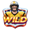 touchdown cash wild symbol