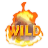 trail blazer wild symbol