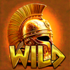 treasure legio wild symbol