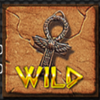 treasure of the nile wild symbol