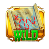 treasure on high seas wild symbol