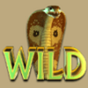 treasures from the crypto wild symbol