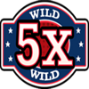 triple american blitz wild 3 symbol