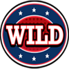 triple american blitz wild symbol