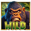 tropical talisman wild symbol
