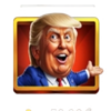trump it coin link wild symbol